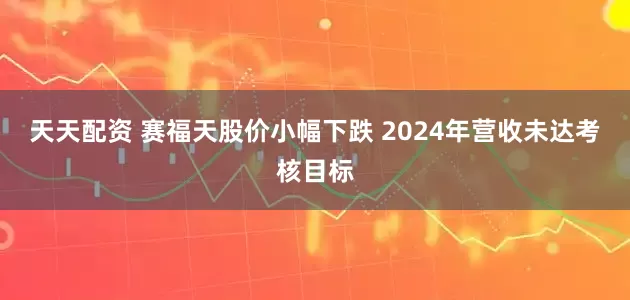 天天配资 赛福天股价小幅下跌 2024年营收未达考核目标