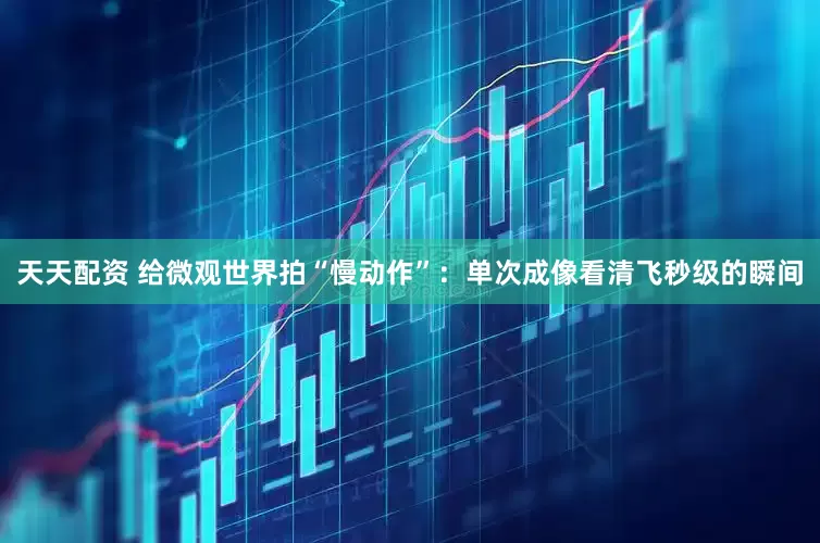 天天配资 给微观世界拍“慢动作”：单次成像看清飞秒级的瞬间